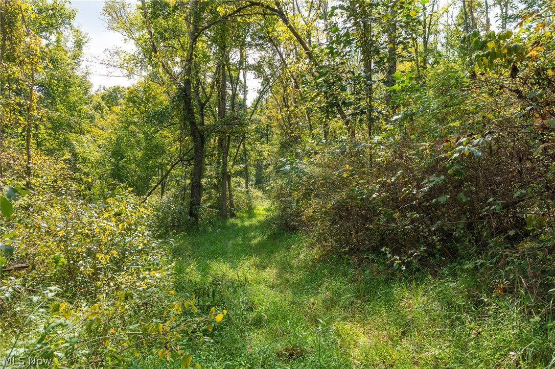 27339 Tabor Ridge Road Caldwell OH 43724