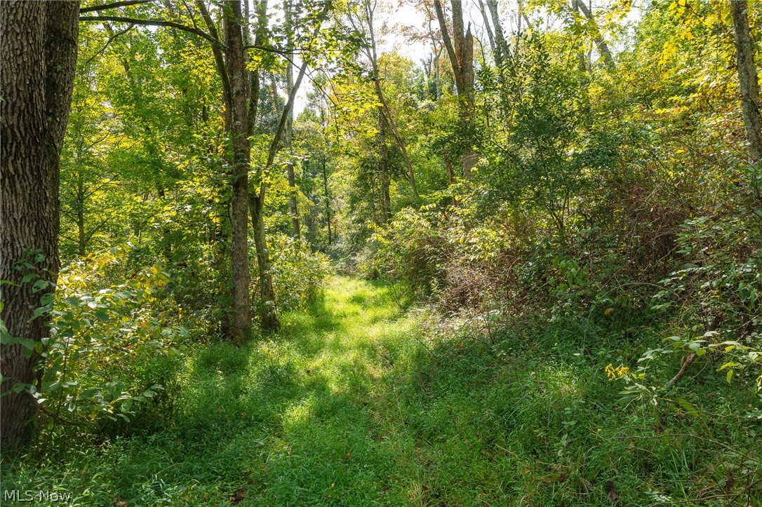 27339 Tabor Ridge Road Caldwell OH 43724