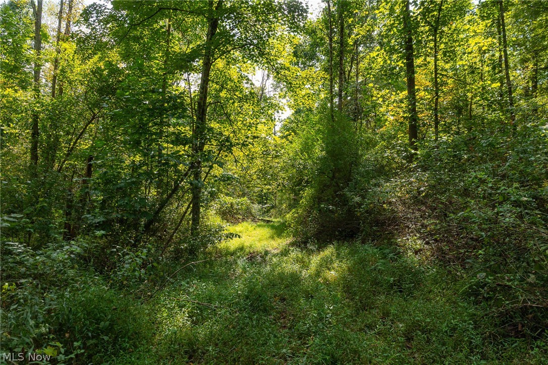 27339 Tabor Ridge Road Caldwell OH 43724