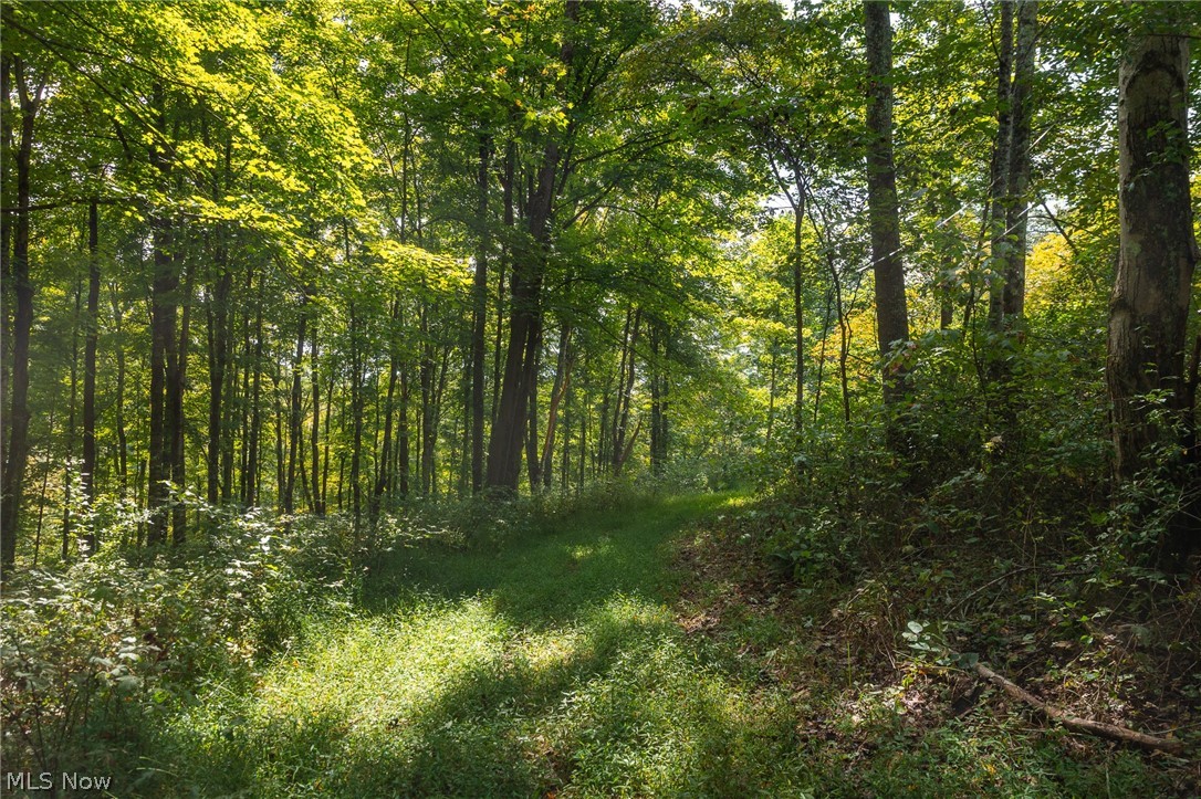 27339 Tabor Ridge Road Caldwell OH 43724