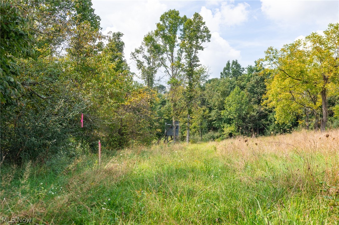 27339 Tabor Ridge Road Caldwell OH 43724