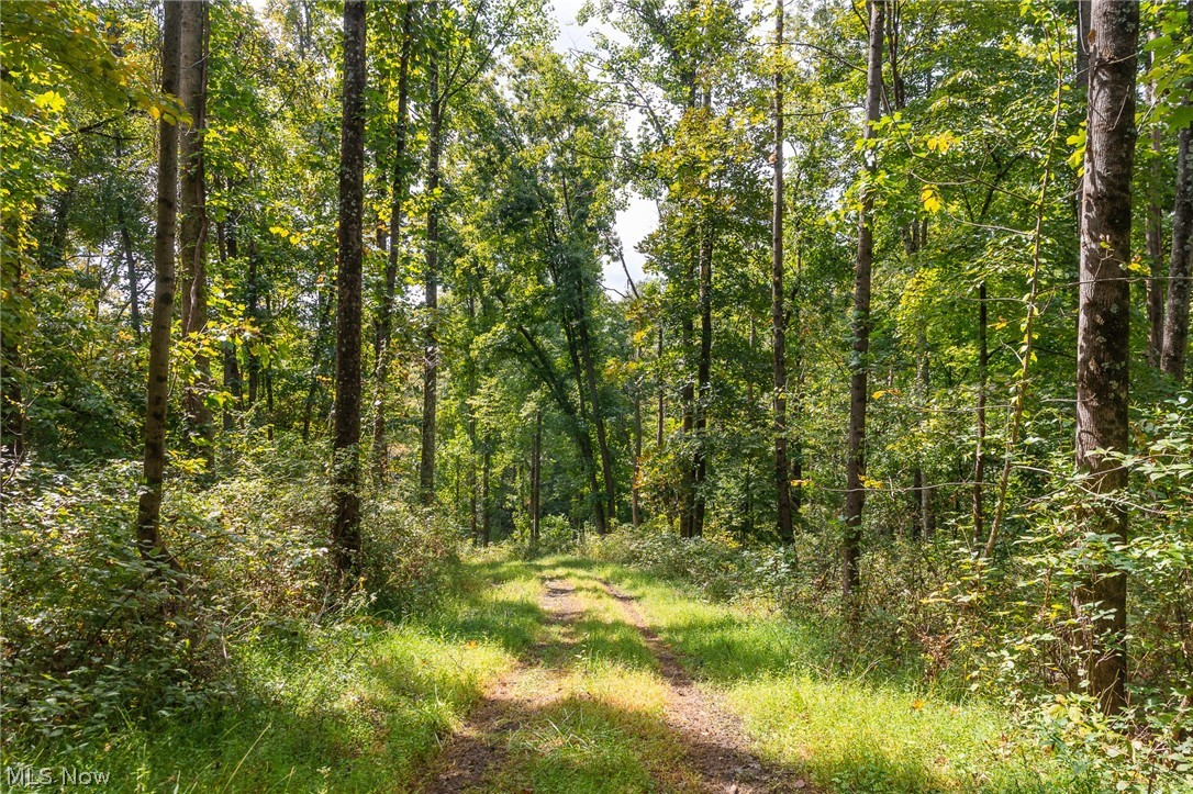 27339 Tabor Ridge Road Caldwell OH 43724