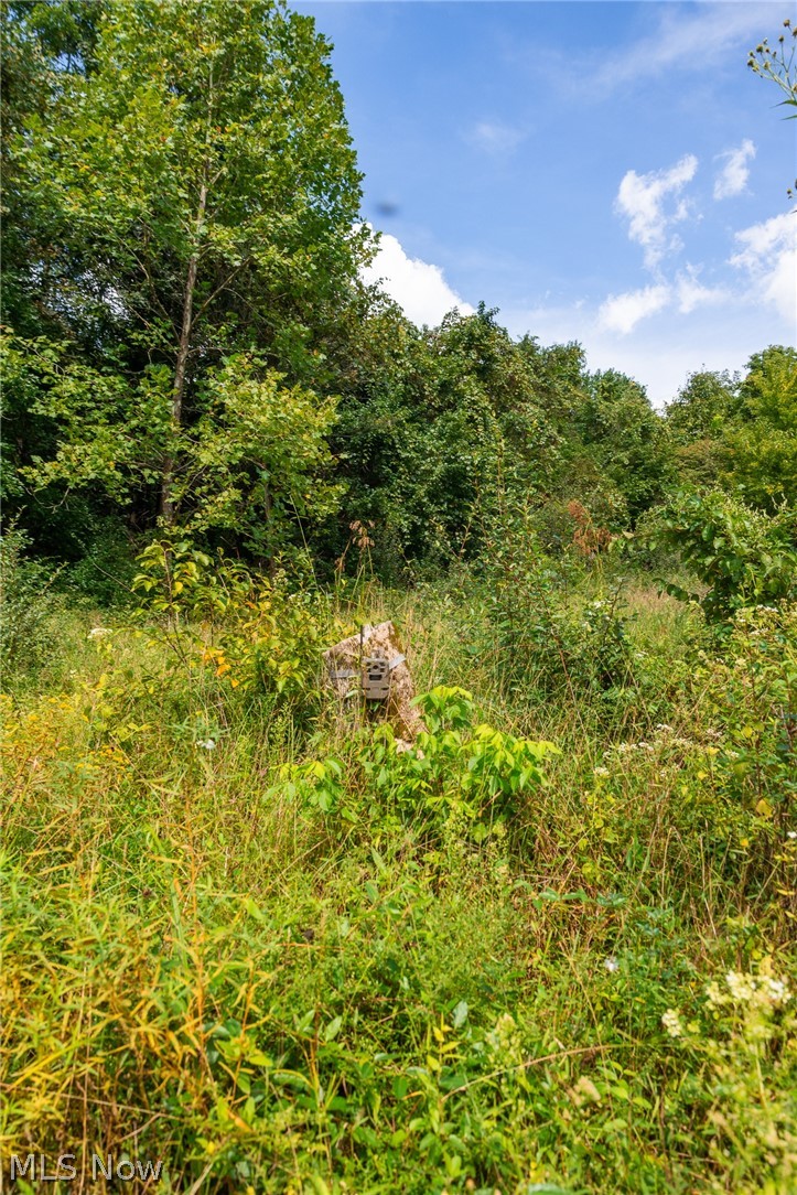27339 Tabor Ridge Road Caldwell OH 43724