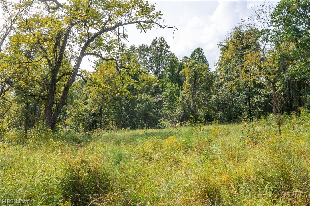 27339 Tabor Ridge Road Caldwell OH 43724