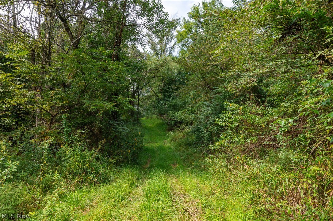 27339 Tabor Ridge Road Caldwell OH 43724