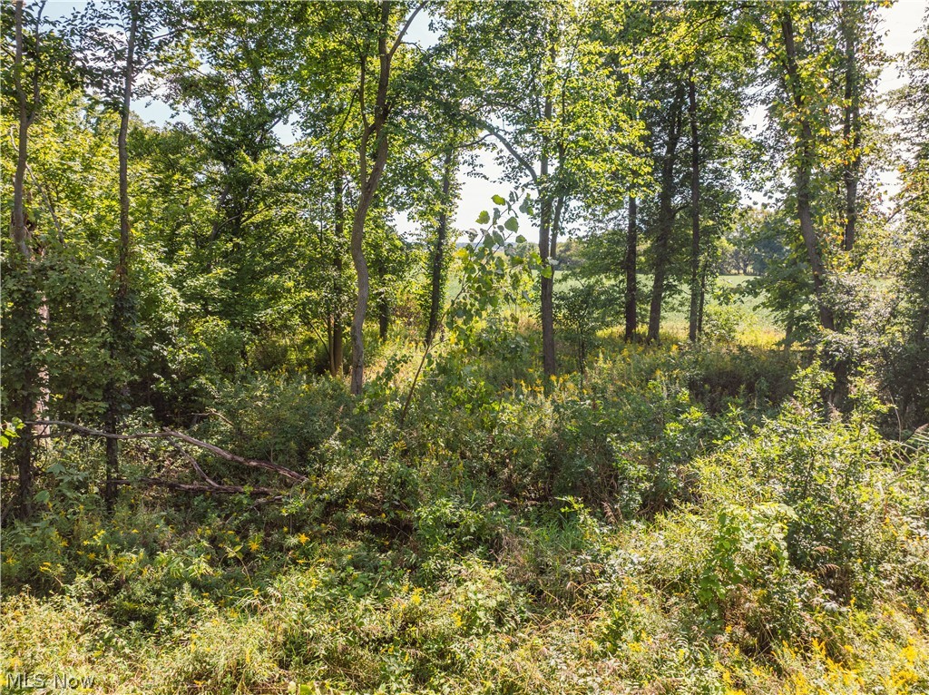 12472 Gearhart Road Burbank OH 44214