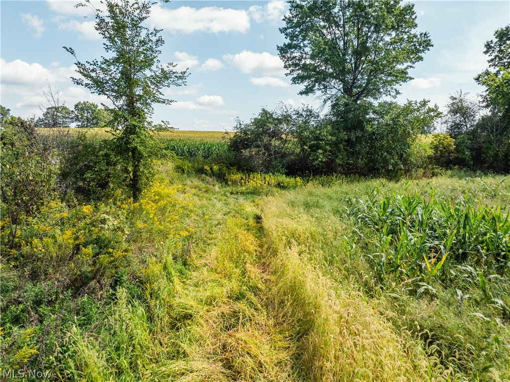 12472 Gearhart Road Burbank OH 44214
