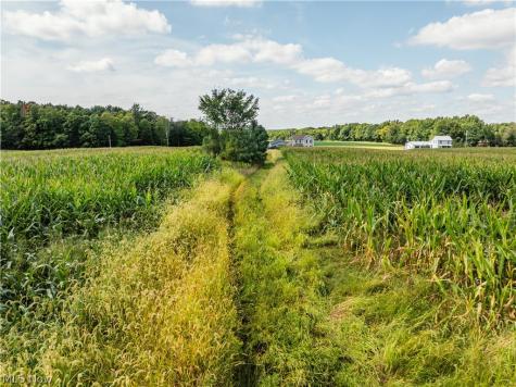12472 Gearhart Road Burbank OH 44214