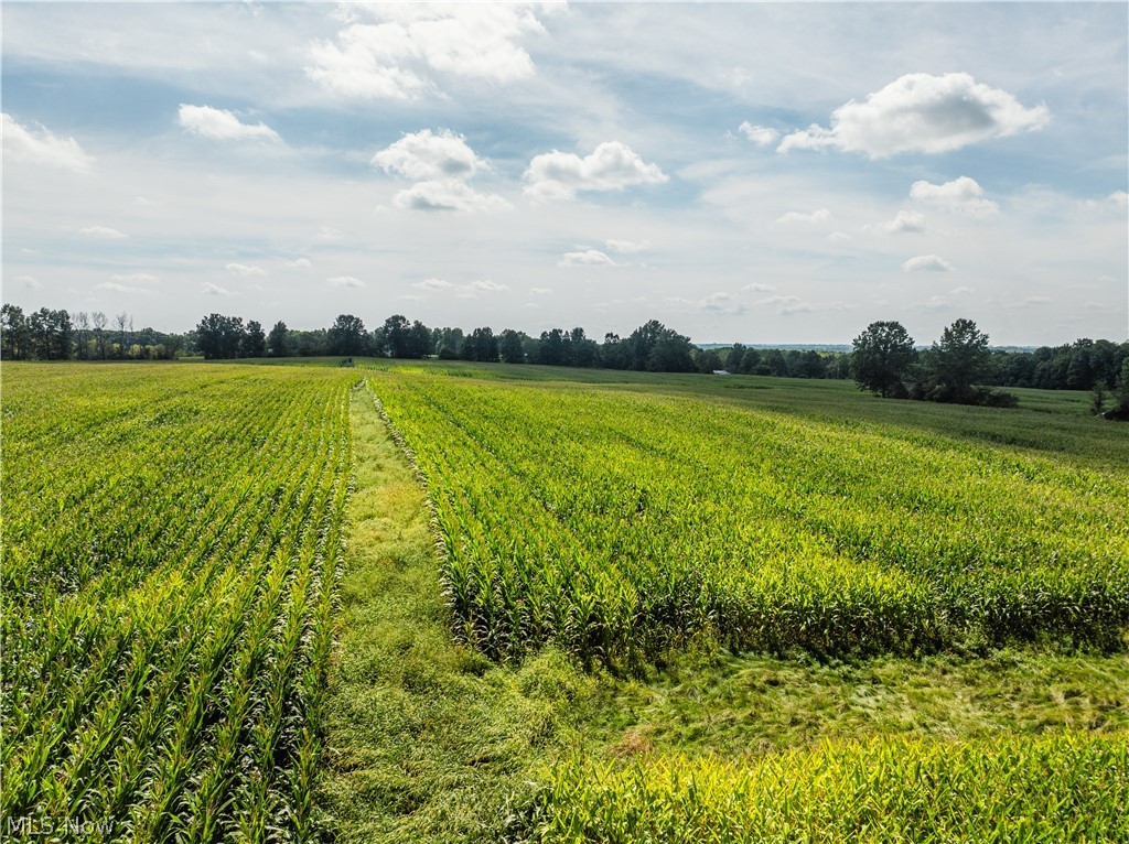 12472 Gearhart Road Burbank OH 44214