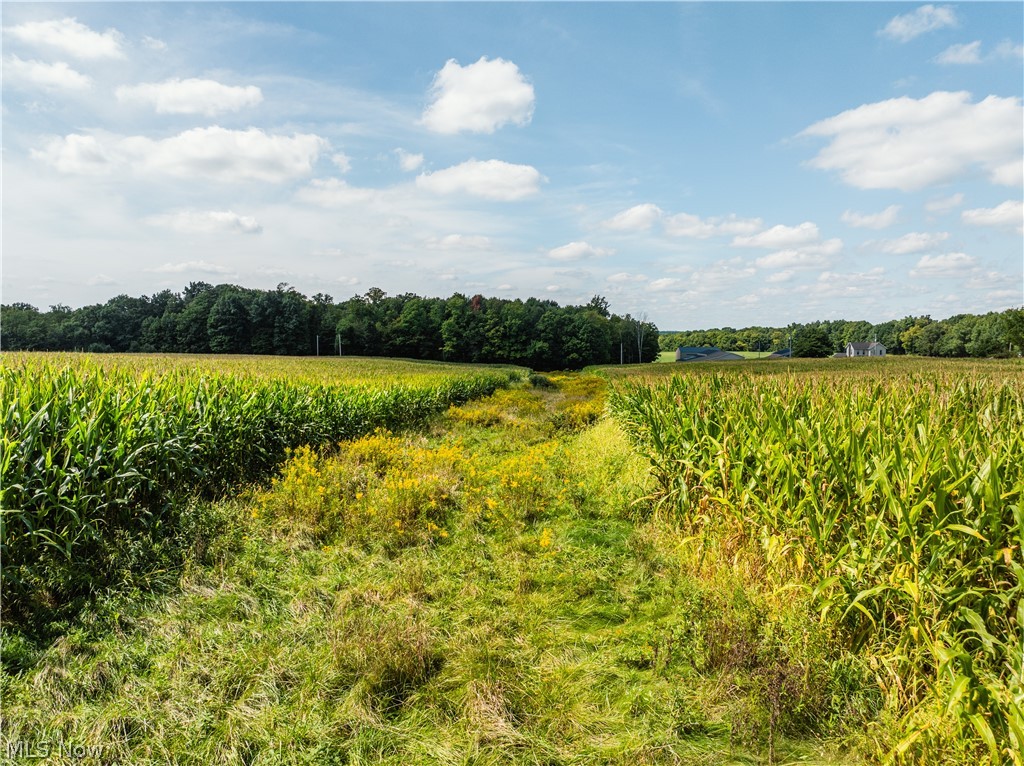 12472 Gearhart Road Burbank OH 44214