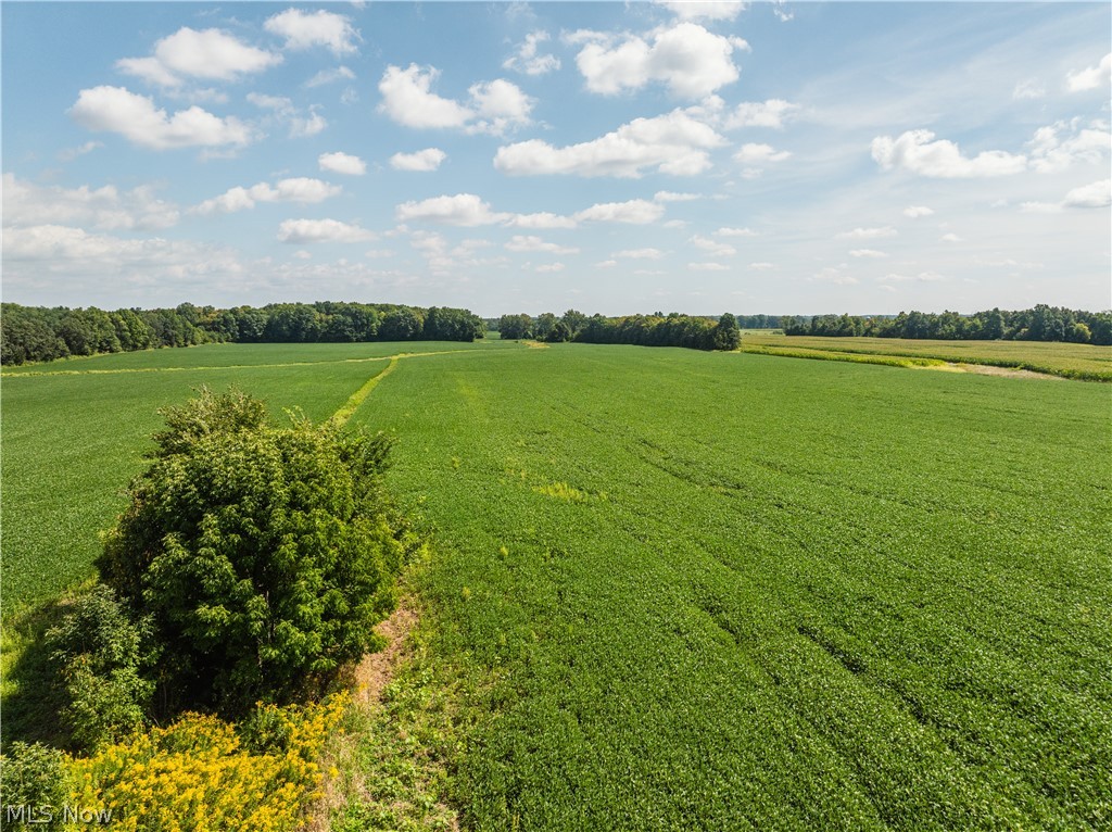 12472 Gearhart Road Burbank OH 44214