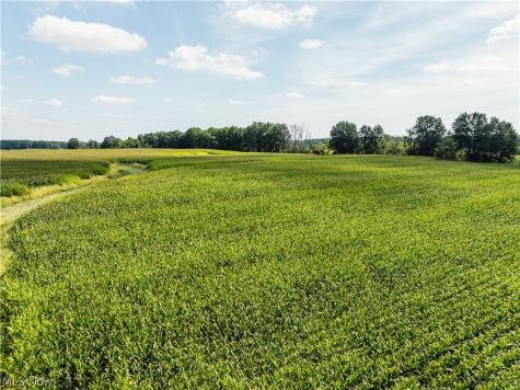 12472 Gearhart Road Burbank OH 44214