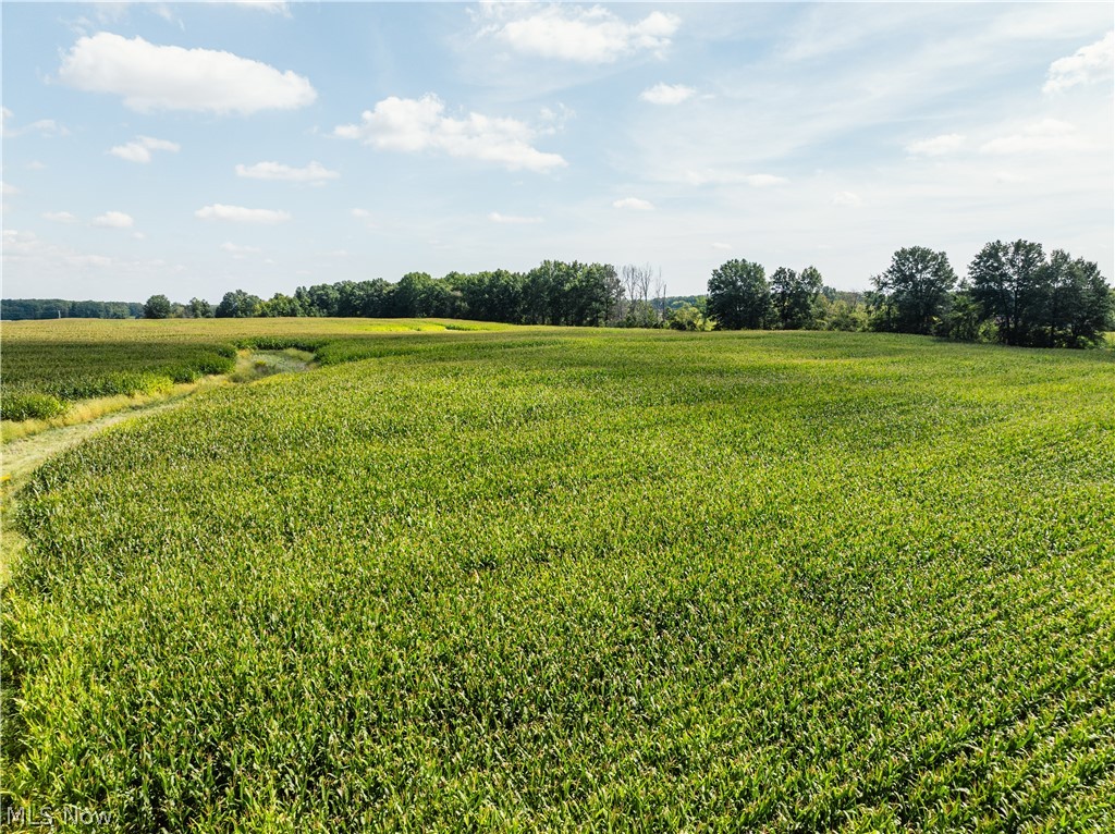 12472 Gearhart Road Burbank OH 44214