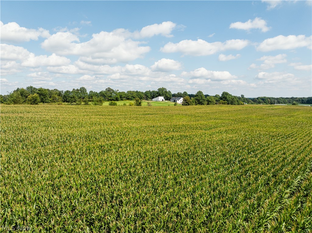 12472 Gearhart Road Burbank OH 44214