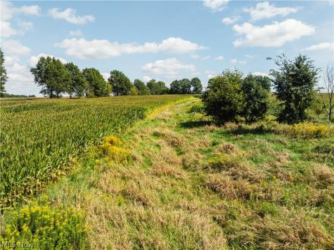 12472 Gearhart Road Burbank OH 44214