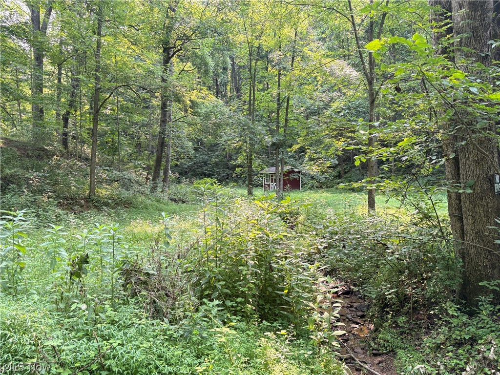 0 Twp Road 369 Clarington OH 43915