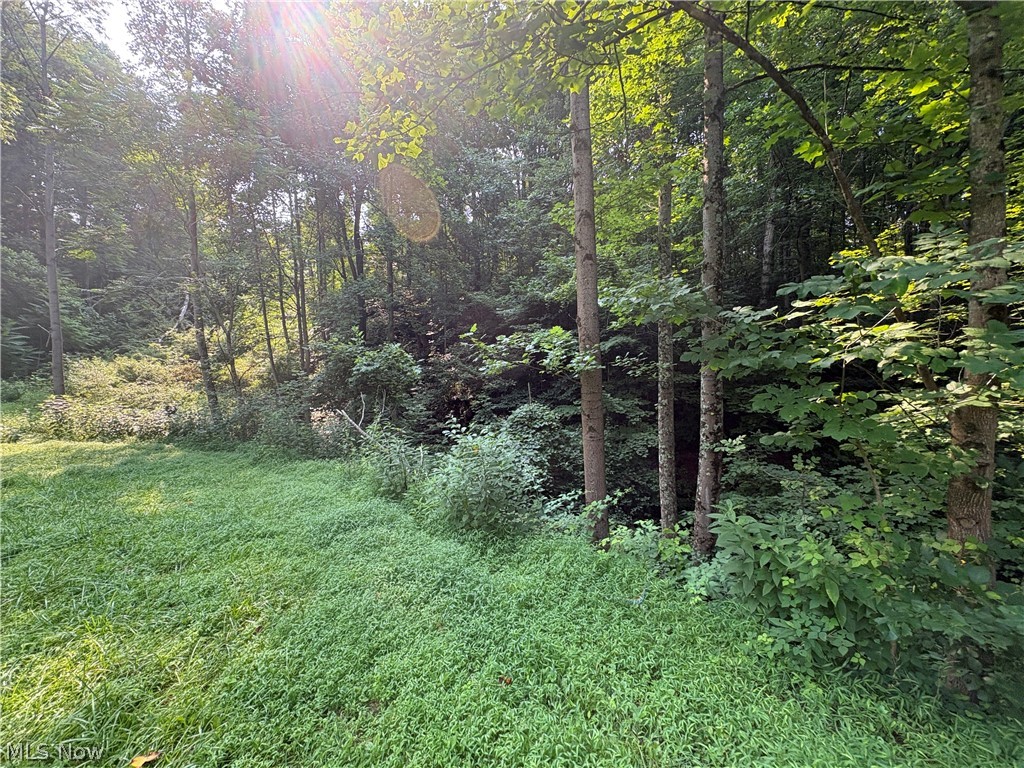 0 Twp Road 369 Clarington OH 43915