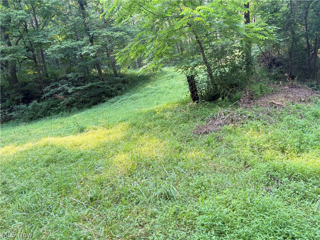 0 Twp Road 369 Clarington OH 43915
