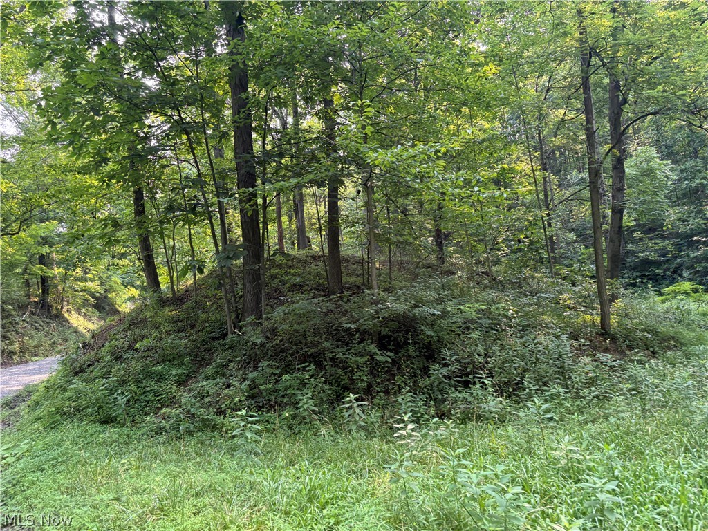 0 Twp Road 369 Clarington OH 43915