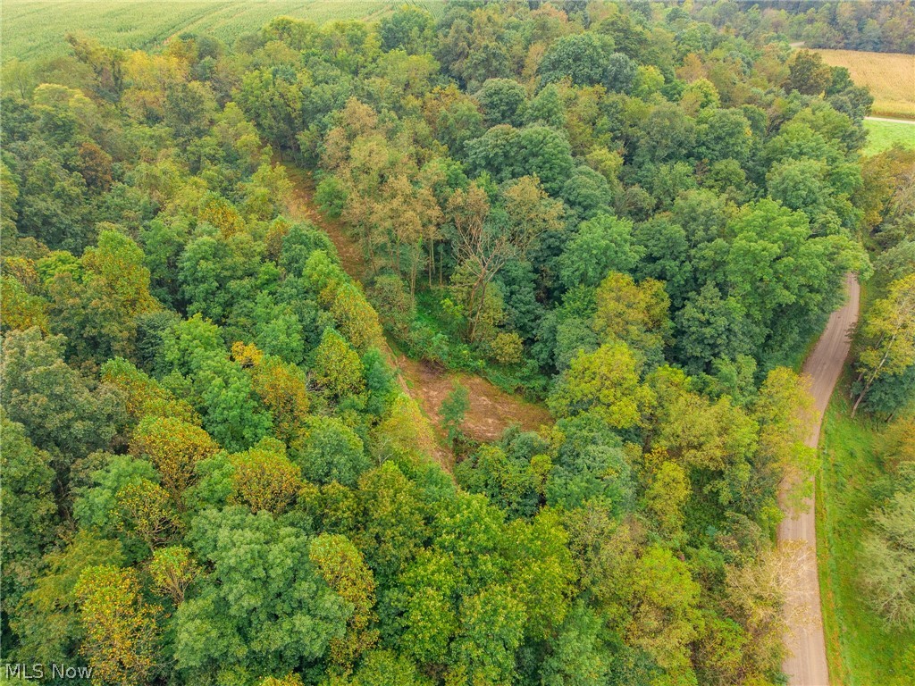 White Eyes Road New Concord OH 43762