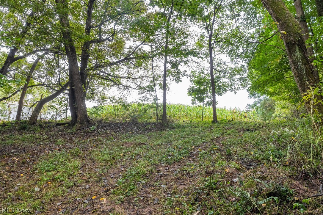 White Eyes Road New Concord OH 43762