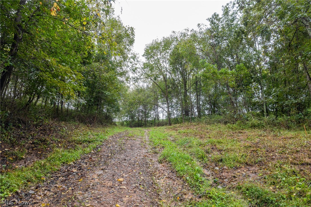 White Eyes Road New Concord OH 43762
