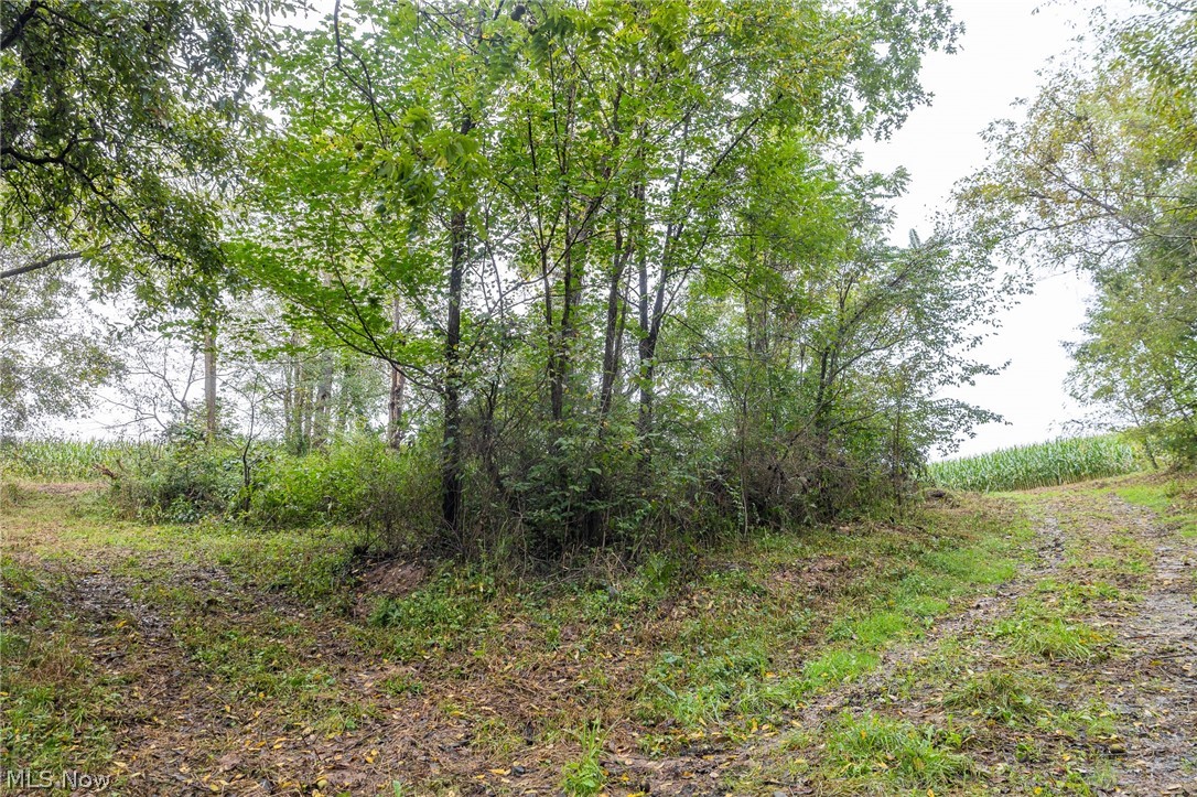 White Eyes Road New Concord OH 43762