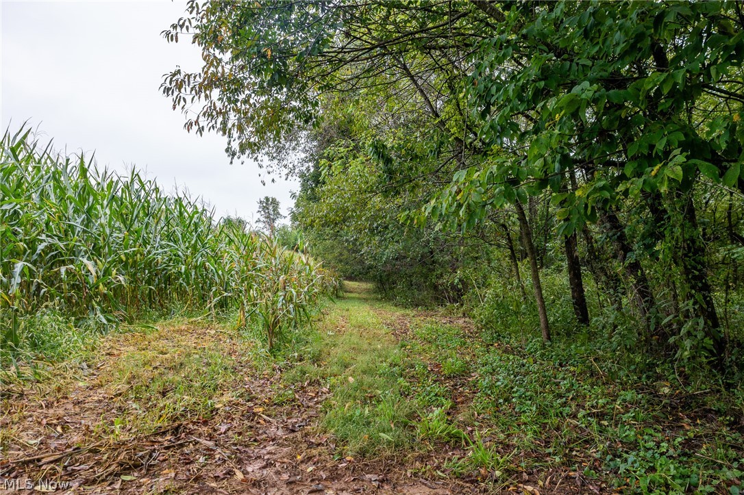 White Eyes Road New Concord OH 43762