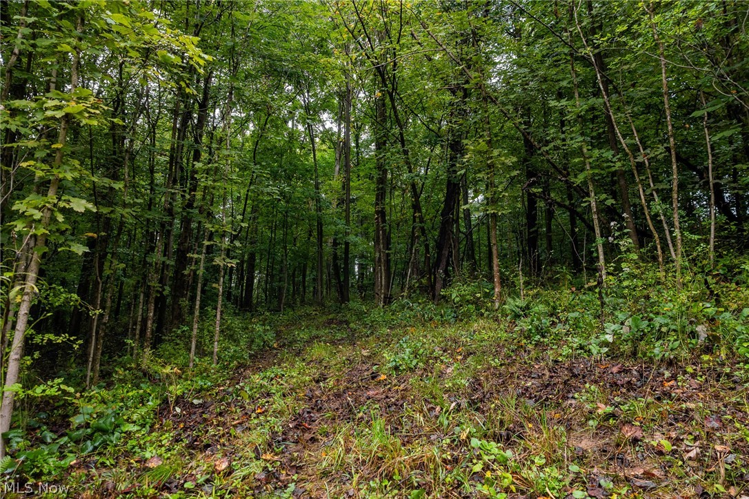 White Eyes Road New Concord OH 43762
