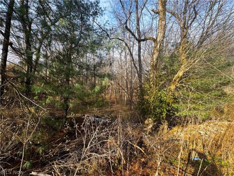 0 Bohl Drive Marietta OH 45750