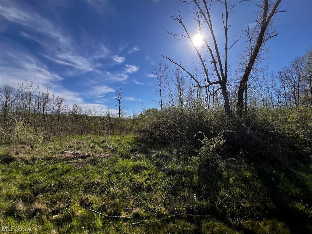 683 Rome Rock Creek Road Roaming Shores OH 44084