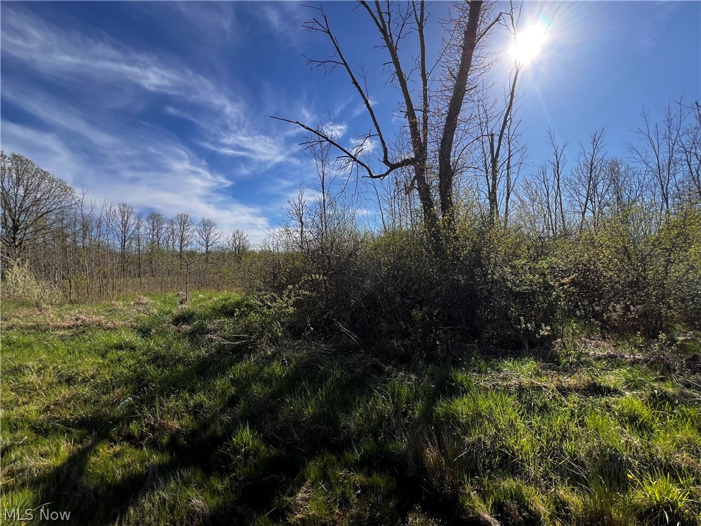 683 Rome Rock Creek Road Roaming Shores OH 44084