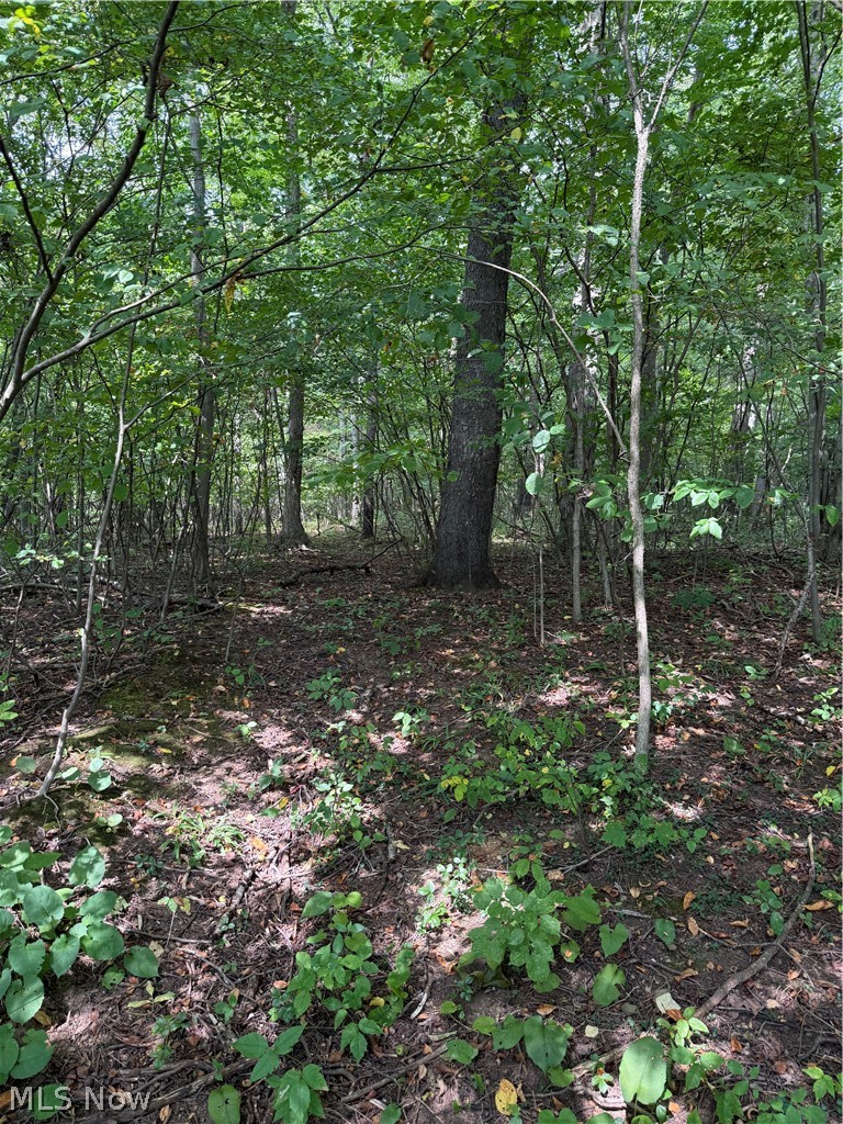 6951 / 7151 Woodard Road Andover OH 44003