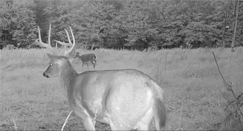 Oyster Road North Benton OH 44601