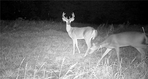 Oyster Road North Benton OH 44601