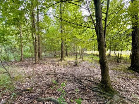Oyster Road North Benton OH 44601