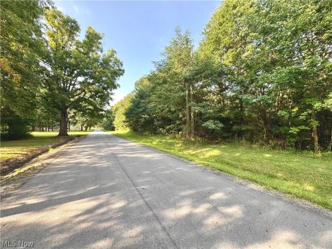 Oyster Road North Benton OH 44601