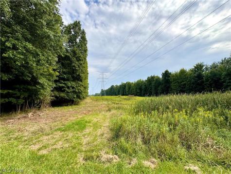 Oyster Road North Benton OH 44601