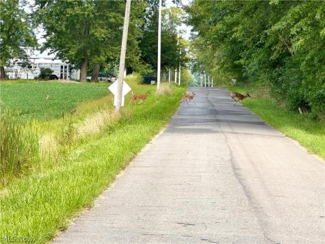 Oyster Road North Benton OH 44601