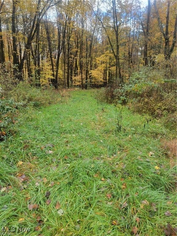 Schaen Drive Andover OH 44003