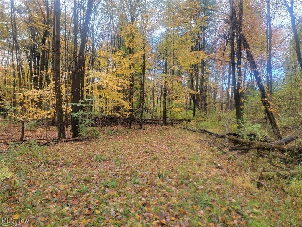 Schaen Drive Andover OH 44003
