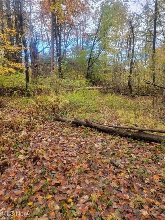Schaen Drive Andover OH 44003