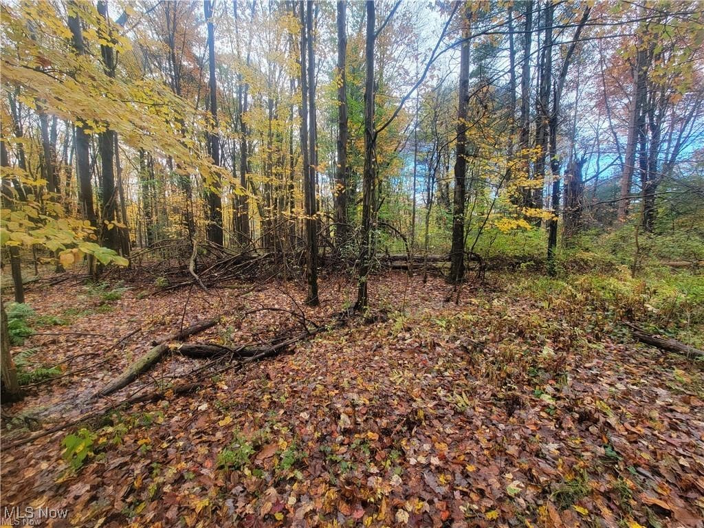 Schaen Drive Andover OH 44003