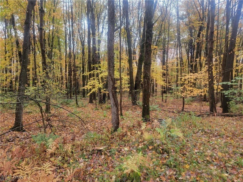 Schaen Drive Andover OH 44003