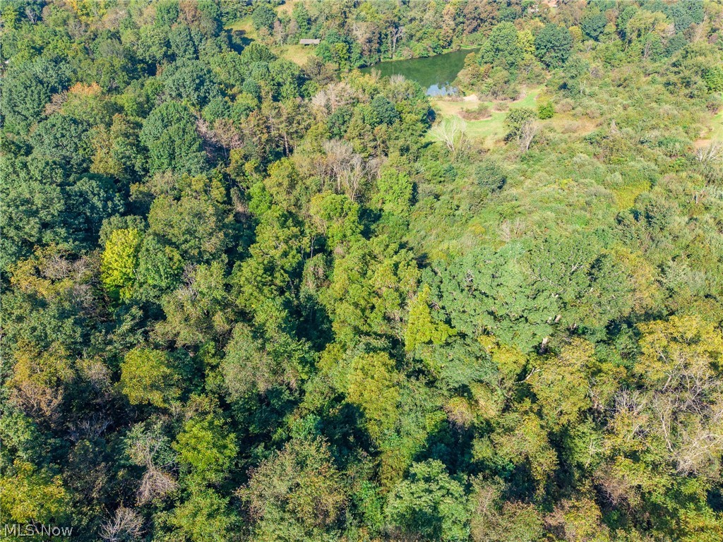 Township Road 269 Cadiz OH 43907
