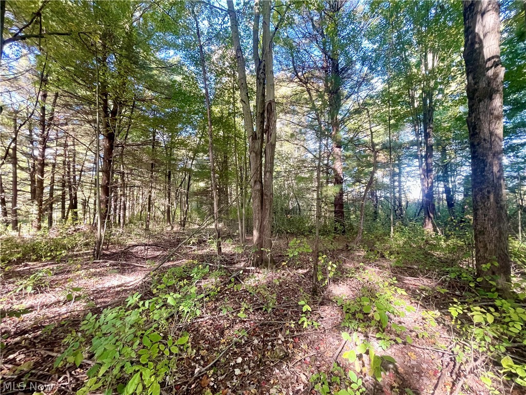 8476 Ravenna Road Twinsburg OH 44087
