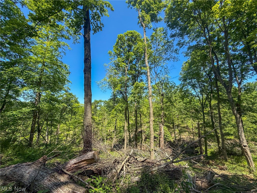 Lot 4 Altamont Road Mingo Junction OH 43938