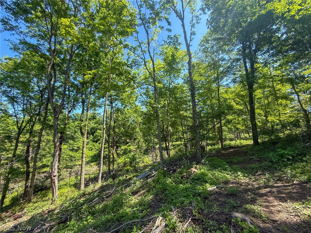 Lot 4 Altamont Road Mingo Junction OH 43938