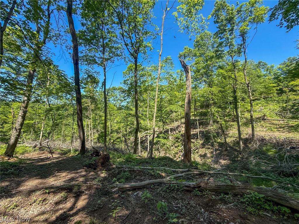 Lot 4 Altamont Road Mingo Junction OH 43938