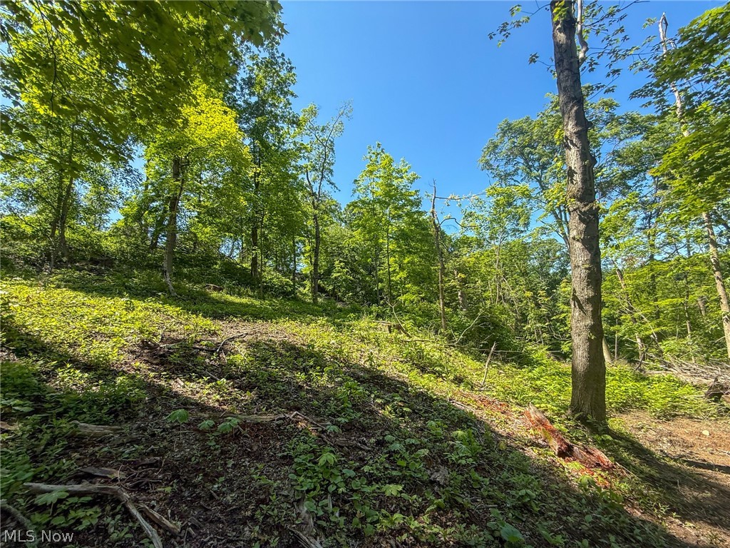 Lot 4 Altamont Road Mingo Junction OH 43938